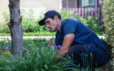 desherbage-nettoyage-jardin-service-personne-3 Profitez du crédit d'impôt pour faire nettoyer et désherber votre jardin