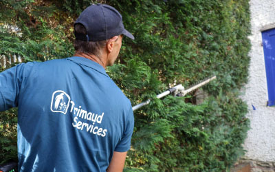 taille-haies-sap-saint-nazaire-1 Faites tailler vos haies et profitez du service à la personne sur Saint-Nazaire